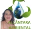 Logo de ALCÂNTARA AMBIENTAL